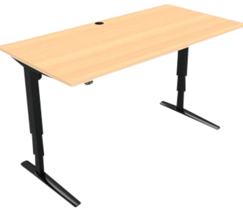Hæve-/sænkebord SKÅRUP 160x80 cm