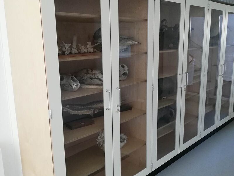 Amager-Fælled-school-cupboards-2