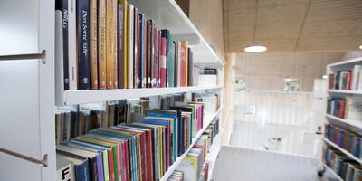 Vonsild-School-bespoke-Library
